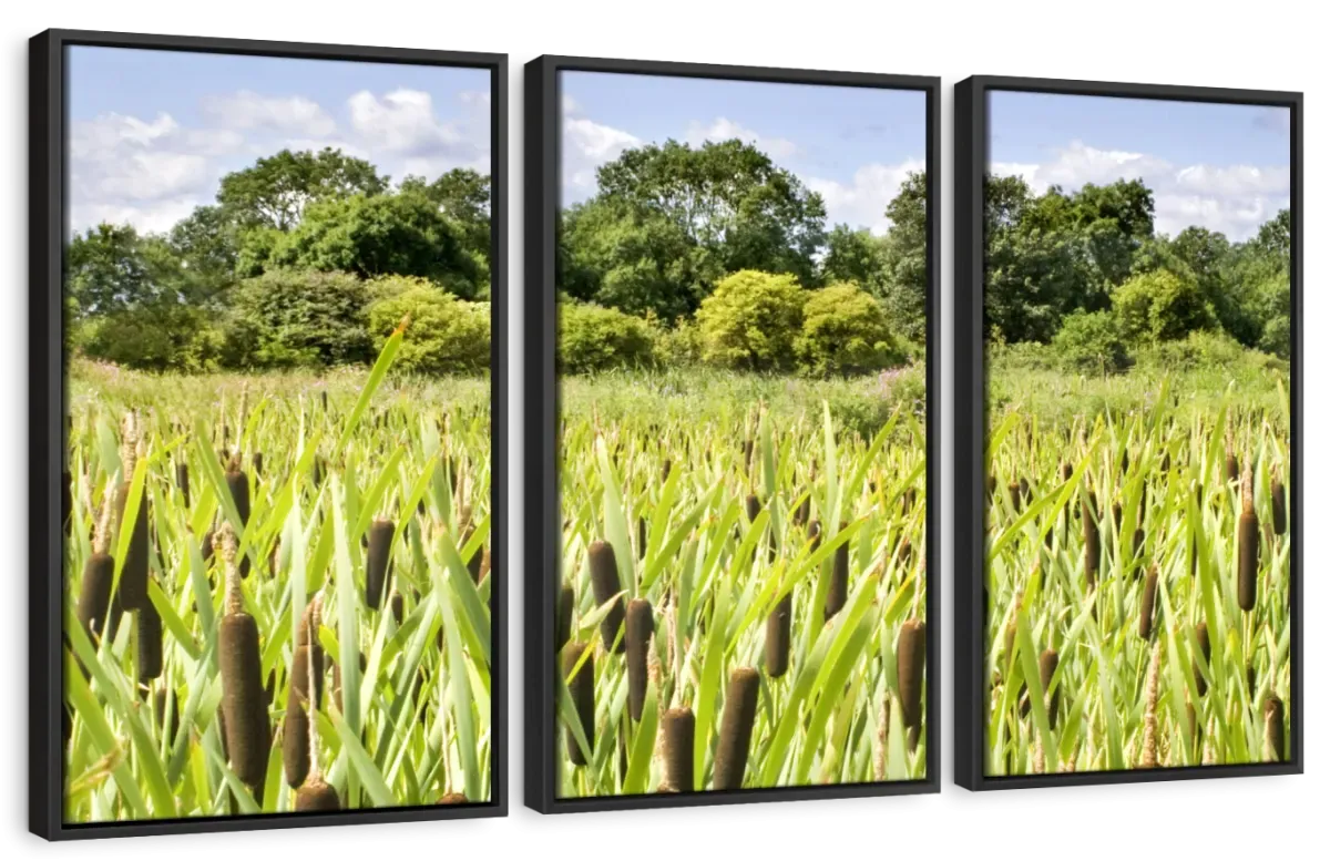 57 Shades Of Green Wall Art