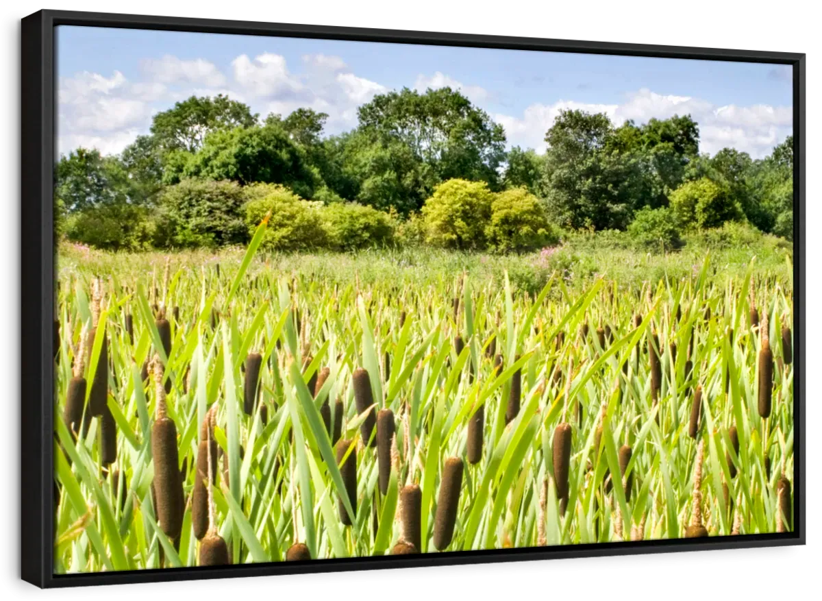 57 Shades Of Green Wall Art