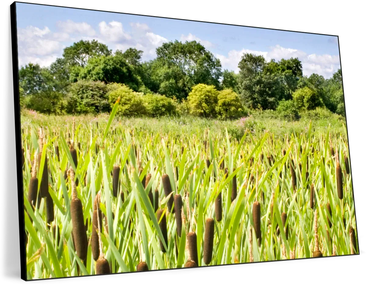 57 Shades Of Green Wall Art