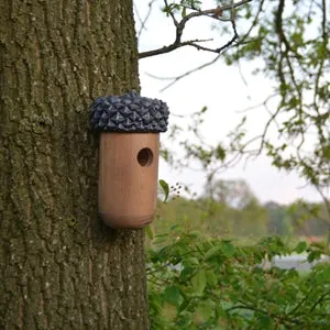 Acorn Bird House