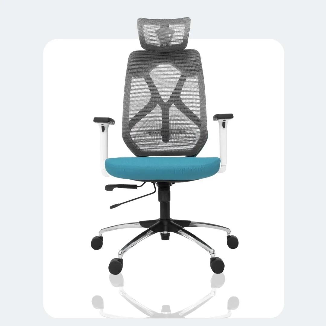 Green Soul Renewed Zodiac Pro High Back Mesh Office Chair