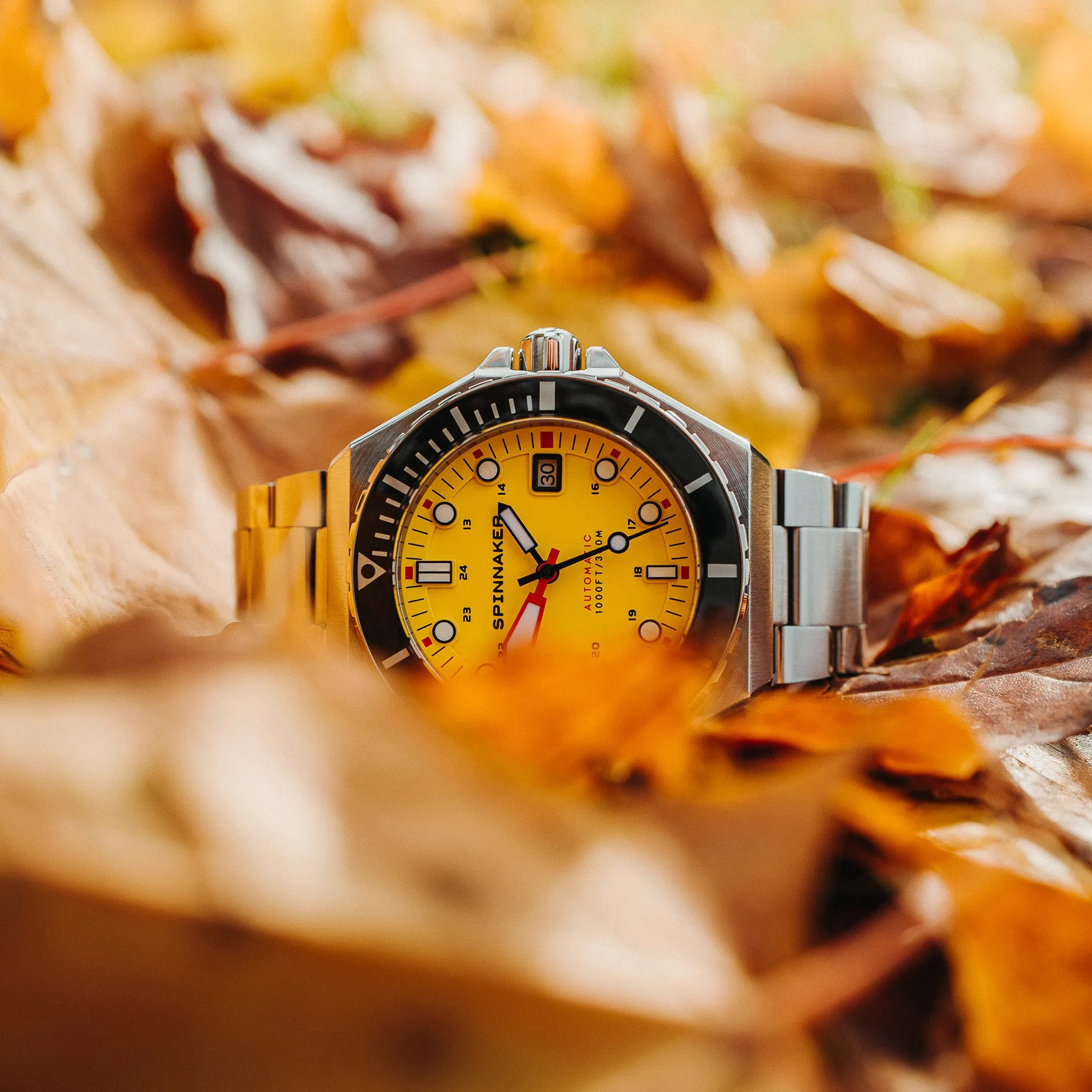 Hornet Yellow