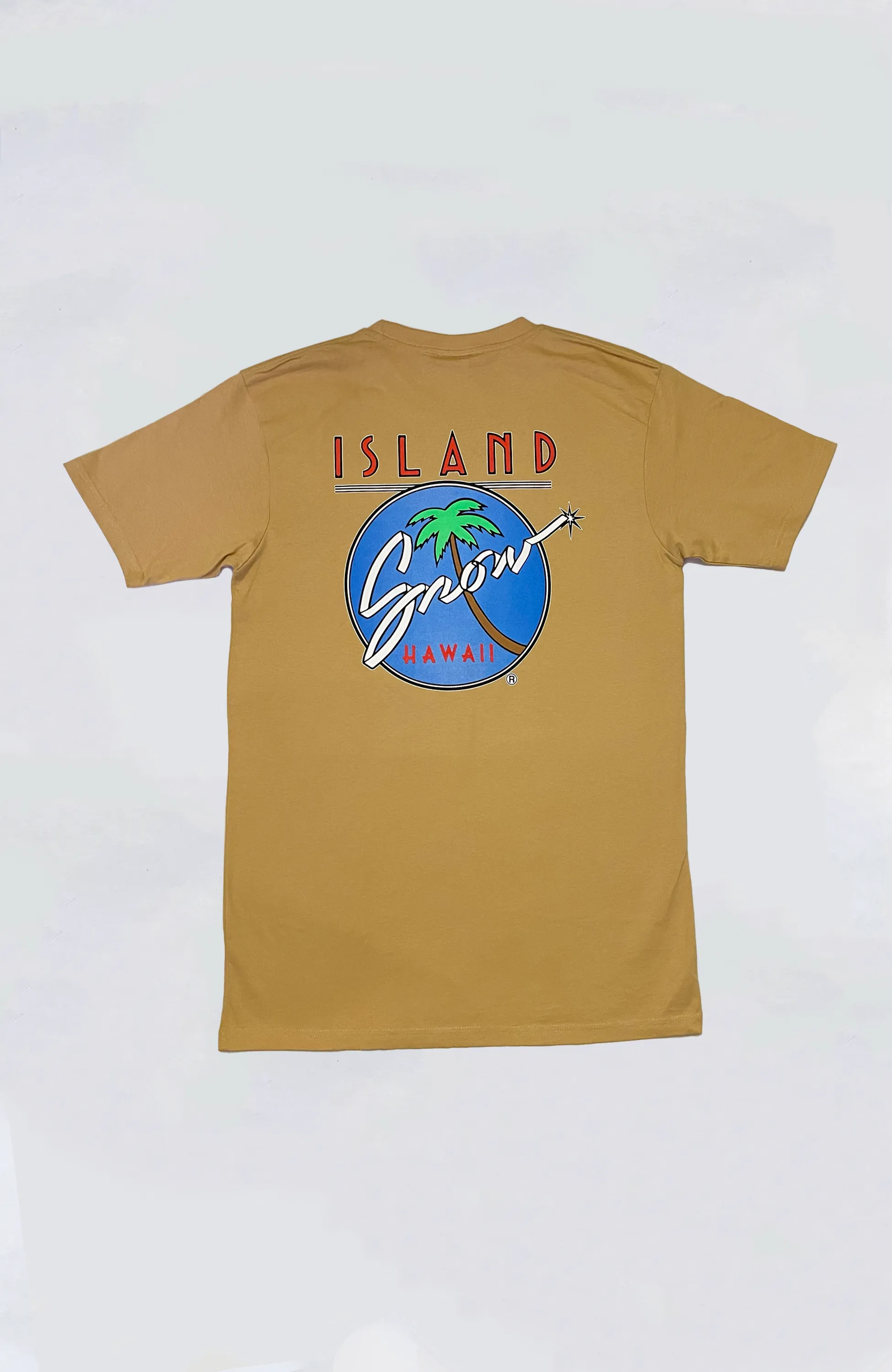 Island Snow Hawaii - IS Original Logo Heavyweight Tee