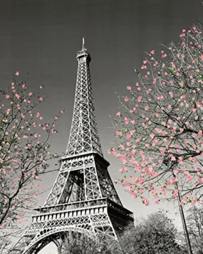 PARIS EIFFEL TOWER BLOSSOMS DECORATIVE PHOTOGRAPHY TRAVEL CITY POSTER PRINT, UNFRAMED 16X20
