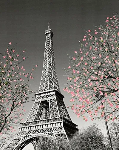 PARIS EIFFEL TOWER BLOSSOMS DECORATIVE PHOTOGRAPHY TRAVEL CITY POSTER PRINT, UNFRAMED 16X20